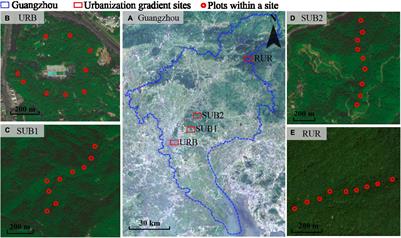 Inconsistent Patterns of Soil Fauna Biodiversity and Soil Physicochemical Characteristic Along an Urbanization Gradient